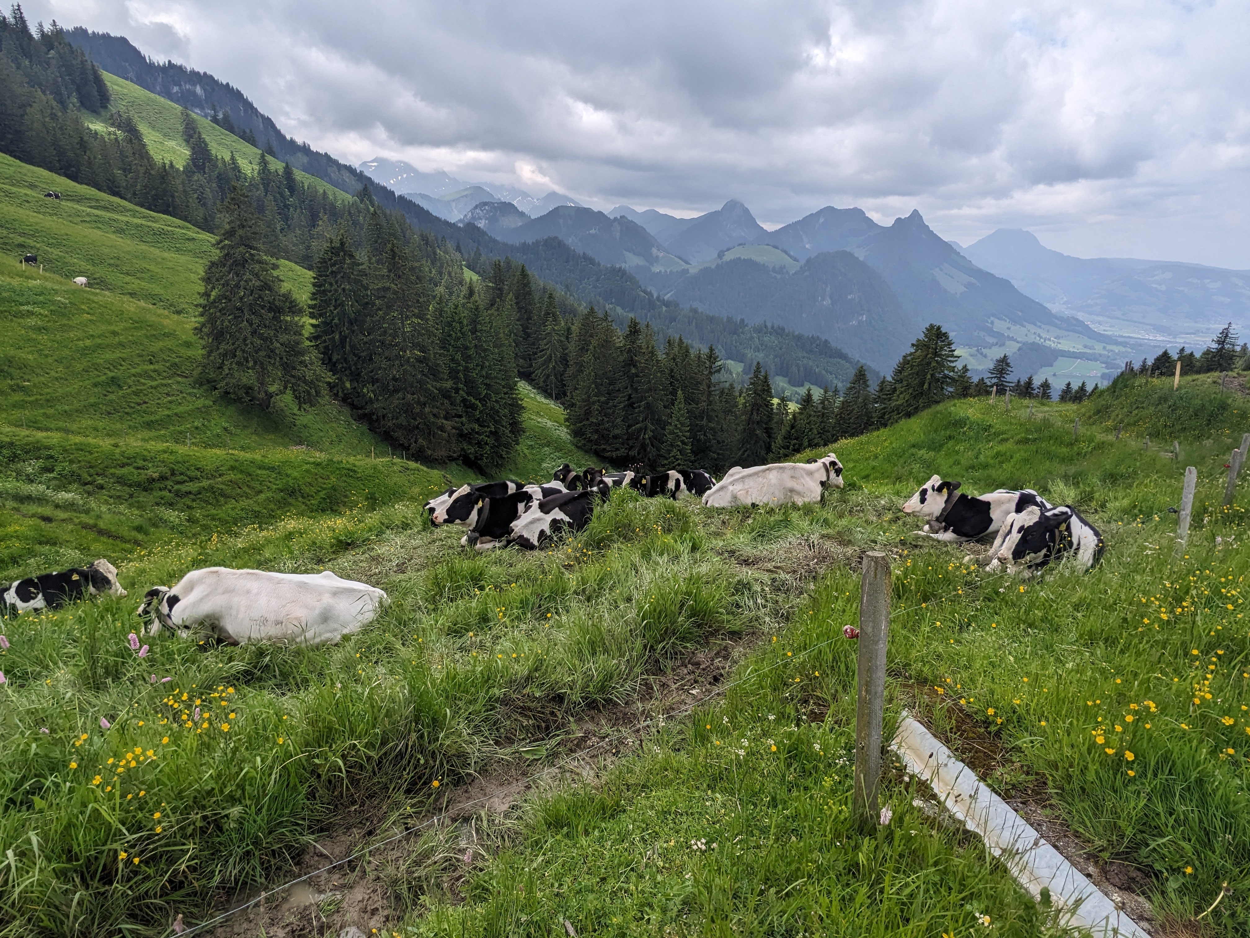 心地よい一人時間の過ごし方 ー 40代女性セラピストの休日ライフ